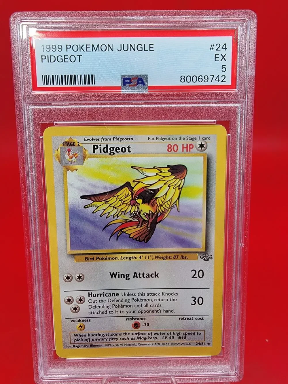 Pokémon Pidgeot 24/64 PSA 5 EX Jungle Rare